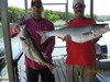 (06/05/2018) - Nice Striped Bass